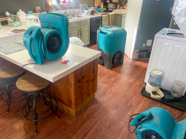 Best Water damage cleanup near me  in Lakewood, OH