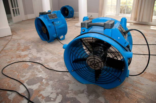 Best Sewage cleanup and water damage restoration  in Lakewood, OH
