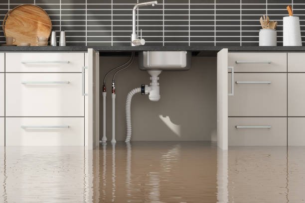 Best Basement water damage restoration  in Lakewood, OH