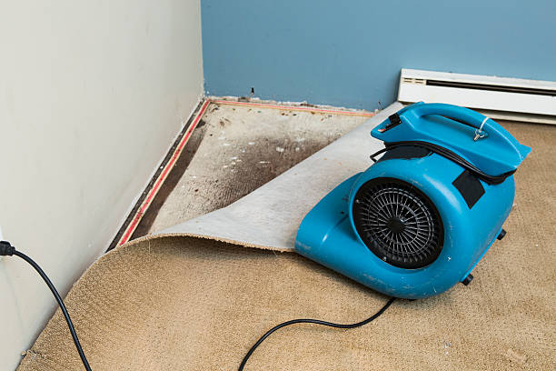 Best Water damage restoration near me  in Lakewood, OH